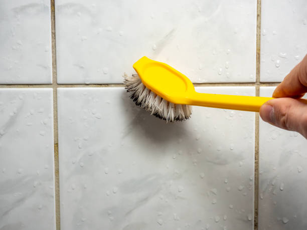 Best Mold Removal Near Me  in Mason, OH