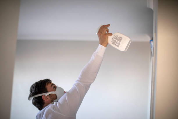 Best Fast Mold Removal  in Mason, OH