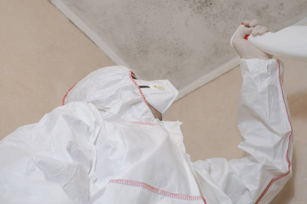 Best Mold Remediation Experts  in Mason, OH